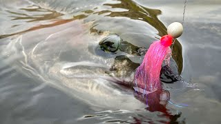 EPIC Steelhead Bobber DOWNS Desert STEELHEAD Fishing [upl. by Wulfe]