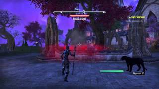 The Elder Scrolls Online test the wabbajack [upl. by Eberhard]