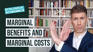 Marginal Benefits and Marginal Costs [upl. by Gerdi]