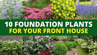 Top 10 EasyBreezy Foundation Plants for Your Front House 🏡 [upl. by Gelasius257]