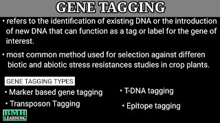 Gene Tagging [upl. by Atnohs756]