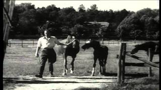 Nyordning på sjögårda 1944 [upl. by Lane]