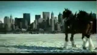 Budweiser 911 tribute commercial [upl. by Jaime]