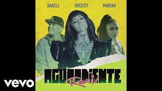 Greeicy Mariah Angeliq Darell  Aguardiente Official Cover Video [upl. by Enoob]