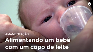 Alimentando um bebê com um copo  Amamentação [upl. by Florance509]