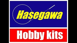 Hasegawa models a very brief history [upl. by Nirat]