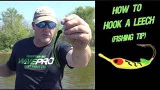 How To Hook a Leech Fishing Tip [upl. by Ja628]