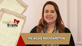 Explica Direito Filiação Socioafetiva  2019 [upl. by Heyman556]