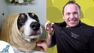 Simple Hacks To Bath Your Dog  Professional Dog Training Tips [upl. by Brout]