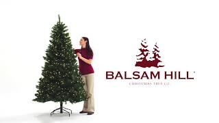 Easy Plug™ Artificial Christmas Trees [upl. by Bena]