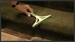 How to remove dog hair from carpet [upl. by Sargent449]