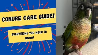 Conure Care Guide  Everything You Need To Know  TheParrotTeacher [upl. by Akcinat]