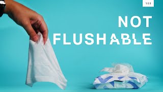 “Flushable” wipes are ruining sewage plants [upl. by Norby956]