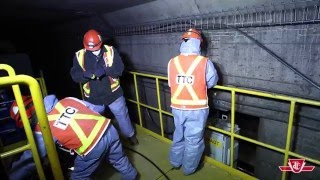 TTC weekend subway closures [upl. by Ahsinit]