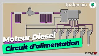 Le circuit dalimentation dun moteur diesel [upl. by O'Connor]