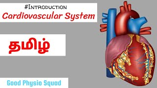 Physiology  Introduction to the Cardiovascular System in Tamil Lecture [upl. by Brenan906]