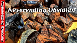 Rockhounding Glass Butte for Obsidian [upl. by Airotnahs]