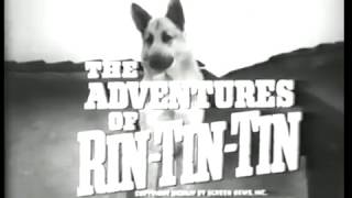 Meet Rin Tin Tin S1 Ep1 The Adventures of Rin Tin Tin [upl. by Yelsnya]