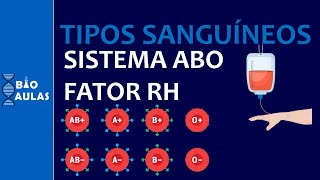 Tipos Sanguíneos  Sistema ABO e Fator Rh ImunoHematologia  Bio Aulas [upl. by Adlin]