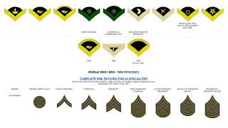 US Army Enlisted Rank Insignia 17752020 Updated [upl. by Atla457]