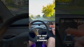 Revolutionary Tesla Autopilot Watch It Work Its Magic 🚗✨ [upl. by Sacci]