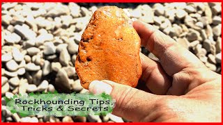 Rockhounding Oregon  Tips Tricks and Secrets [upl. by Nagaek409]