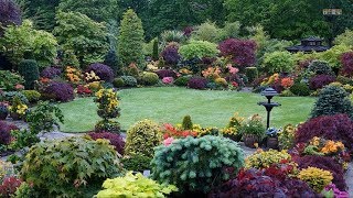 Best ideas  Top 80 Garden Small Backyard Landscaping  Beautiful Gardens Ideas [upl. by Anitac7]