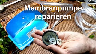 Membranpumpe  Belüfterpumpe reparieren [upl. by Krauss375]