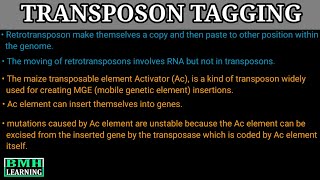 Transposon Tagging [upl. by Derna]