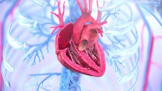 Tricuspid regurgitation symptoms causes and treatment  Animation [upl. by Merriott]