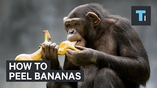 How to peel bananas [upl. by Sidoeht]