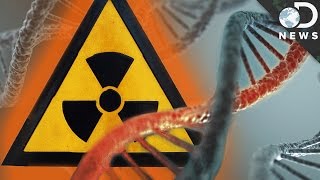 How Radiation Changes Your DNA [upl. by Adnael455]