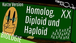 ► Homolog Diploid und Haploid  verständlich erklärt  Kurze Version [upl. by Smaoht]