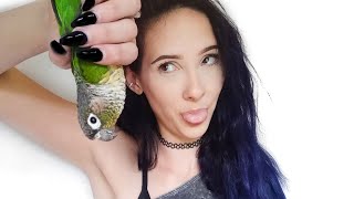 Is A Green Cheek Conure The Right Beginner Parrot For You [upl. by Aimehs]