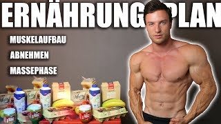 ERNÄHRUNG  So erreichst du deinen Traumkörper   Ernährungsplan und Supplements [upl. by Ahsennod]