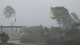 Strong Winds Torrential Rain  Typhoon Noul 4K Stock Footage Screener [upl. by Mmada]