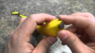 How To Peel A Banana PROPERLYTutorial [upl. by Landing299]