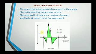 Electromyography EMG [upl. by Barnaba]