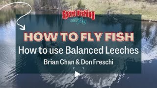 FLY FISHING HOW TO USE BALANCED LEECHES  BRIAN CHAN amp DON FRESCHI [upl. by Wescott]