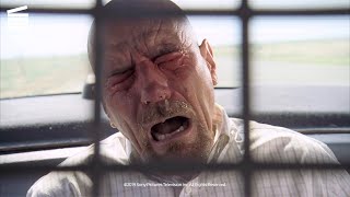 Breaking Bad Season 3 Episode 2 Walt Gets Pepper Sprayed HD CLIP [upl. by Icnarf]