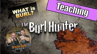 What is a Burl OregonBurlscom [upl. by Yttap]