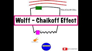 WOLFF CHAIKOFF EFFECT and JOD BASEDOW PHENOMENON  EXCESS IODINE INTAKE  in 5 minutes  USMLE 1 [upl. by Gilliam]