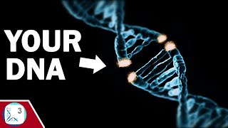 Why do Transposable Elements Break our DNA [upl. by Arjan]