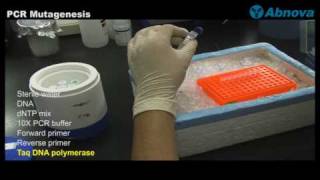 PCR Mutagenesis [upl. by Alesram]