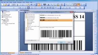 How to Use Bartender Label Design Software [upl. by Ahsinac]