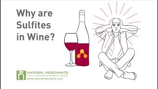 Why are Sulfites in Wine [upl. by Rehpotsirhcnhoj]