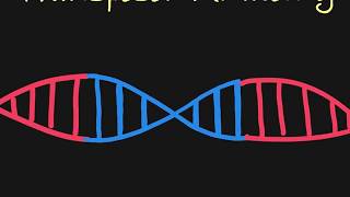 Introduction to Transposons [upl. by Korb]