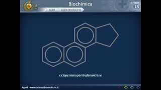 Biochimica strutturale  Lipidi [upl. by Atilrac]