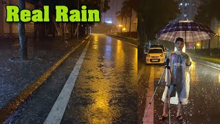 Torrential Rain on Canada Street with Heavy Thunder  Real Rain and Thunderstorm Sounds for Sleeping [upl. by Halil300]