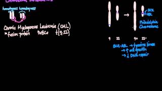 Chromosomal Translocations [upl. by Roydd]